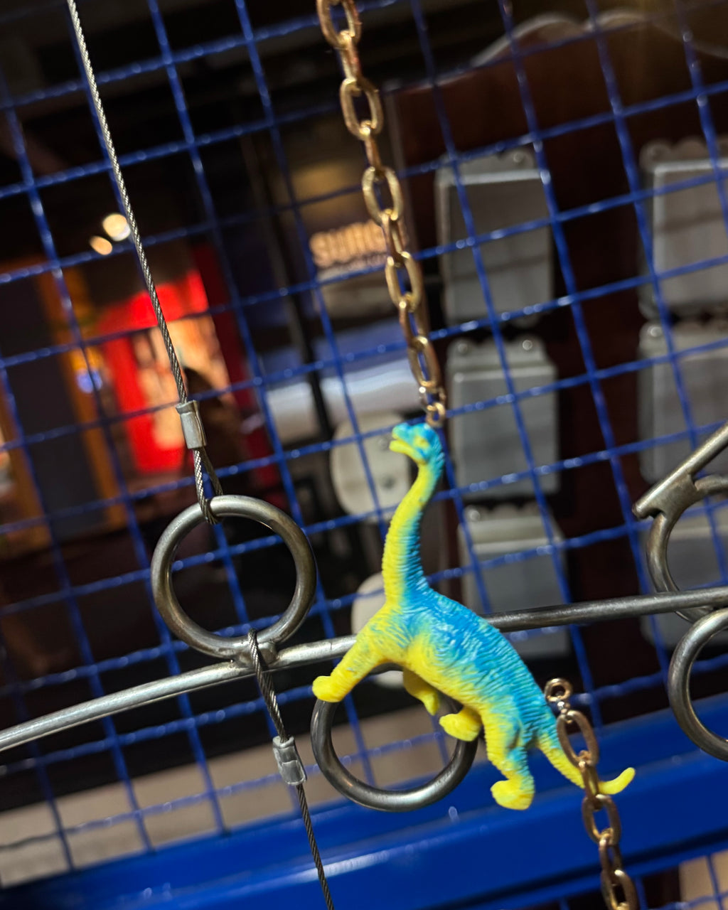 Field Trip 🦕