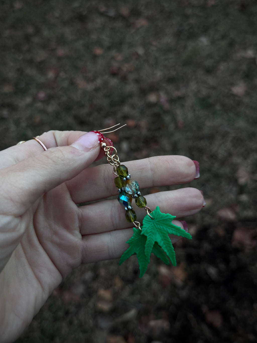 🍃Oregon Leaf-Me-Alone 🌱