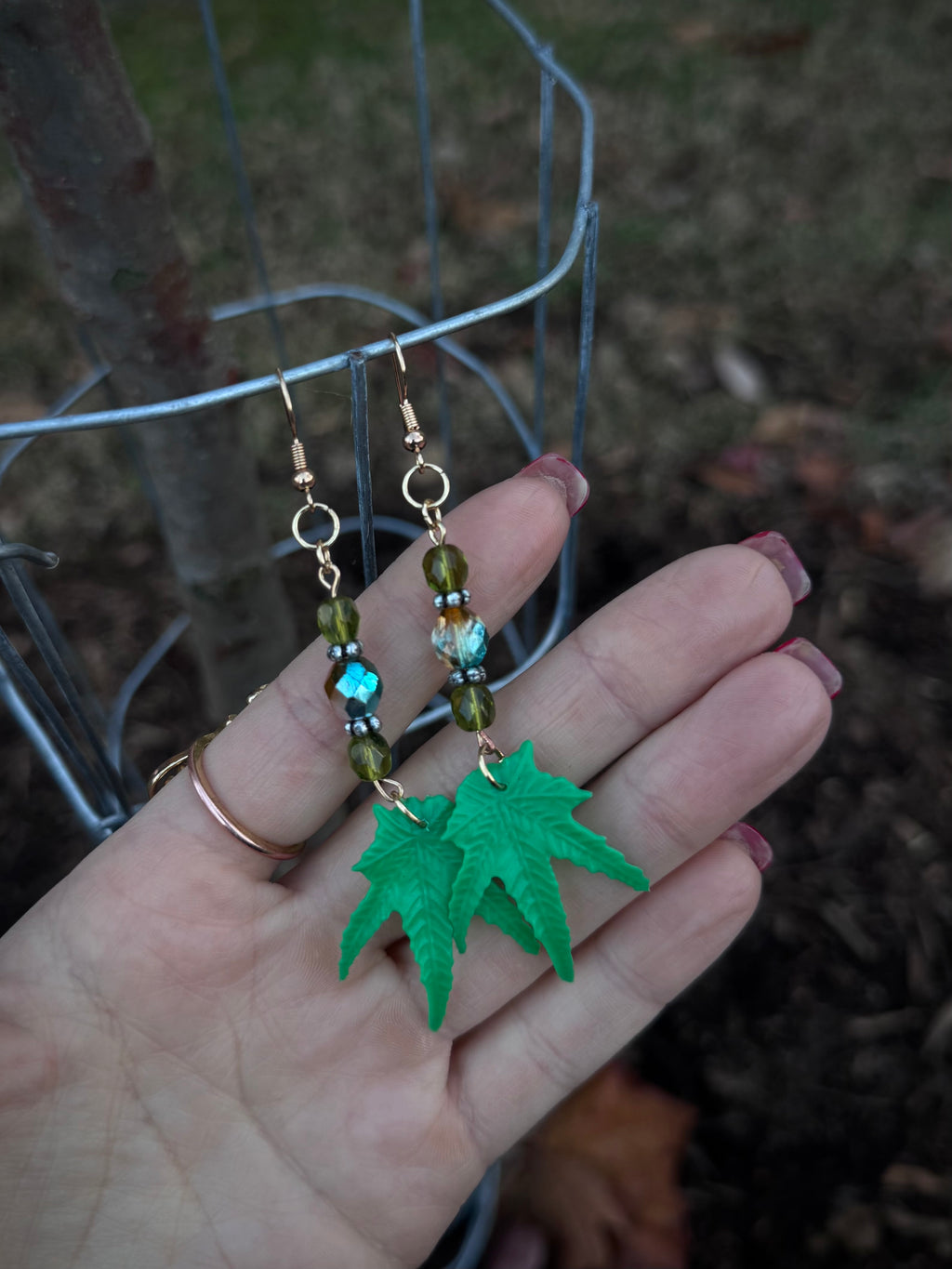 🍃Oregon Leaf-Me-Alone 🌱